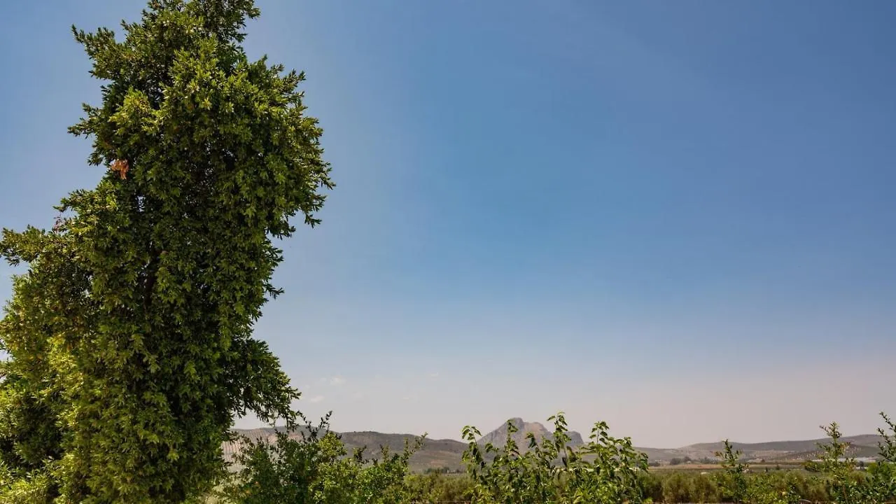 Cortijo Alzamigaja Archidona By Ruralidays Villa