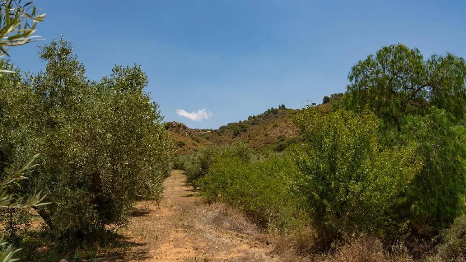 Cortijo Alzamigaja Archidona By Ruralidays Villa 0*,  Spain