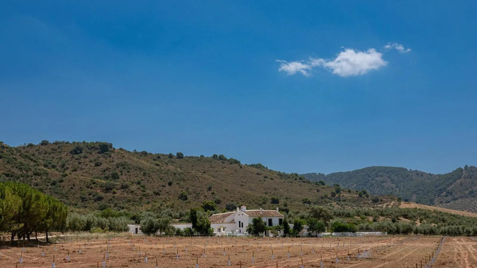 Cortijo Alzamigaja Archidona By Ruralidays Villa